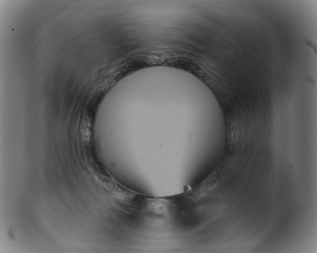 X0000099960226200806061613