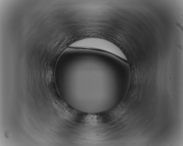 X0000099960227200806061613