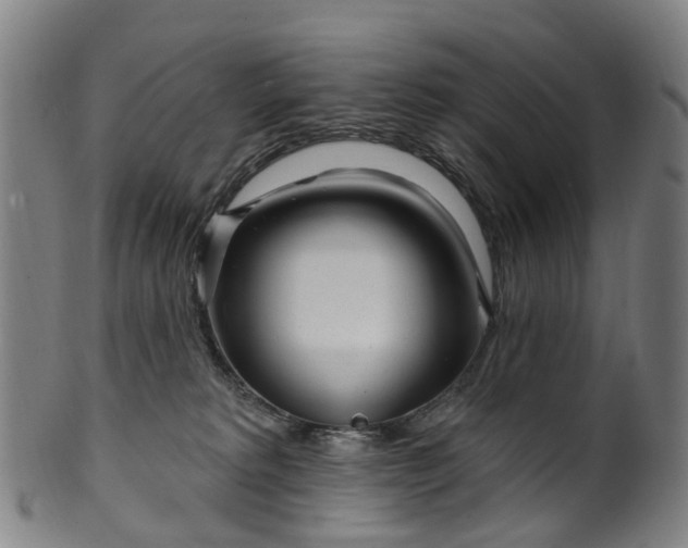 X0000099960229200806061613