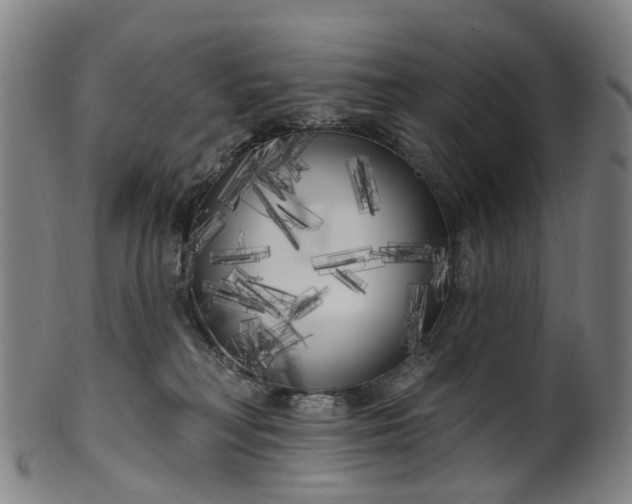 X0000099960230200806061613