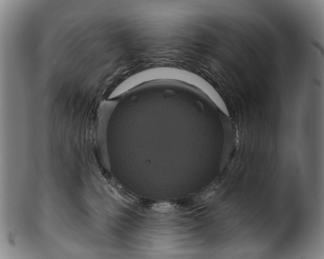 X0000099960231200806061613