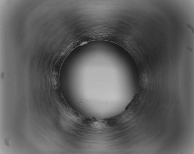X0000099960232200806061613