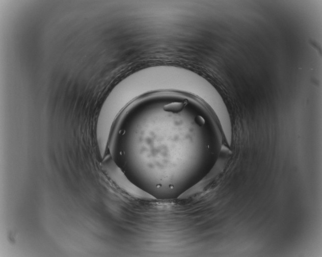 X0000099960233200806061613