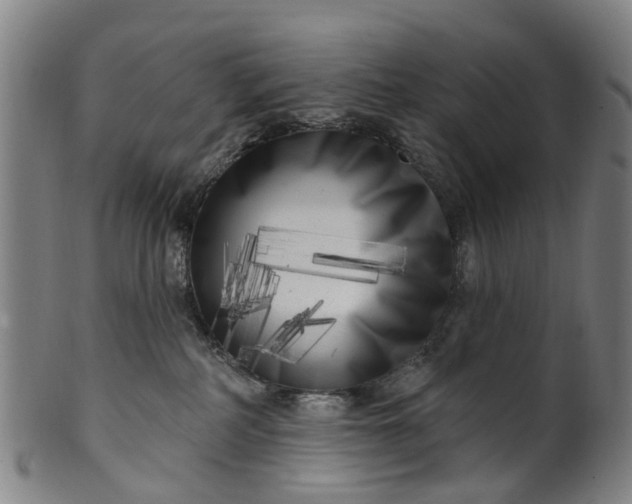 X0000099960234200806061613