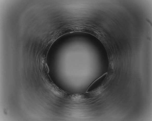 X0000099960235200806061613