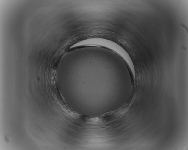 X0000099960237200806061613