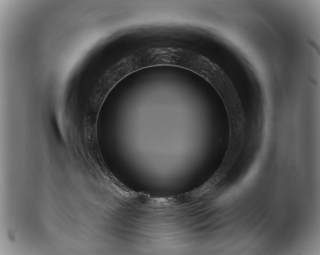 X0000099960239200806061613