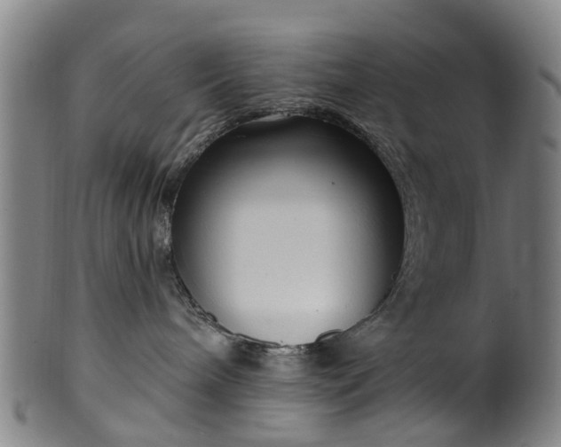 X0000099960240200806061613