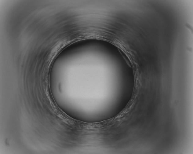 X0000099960241200806061612