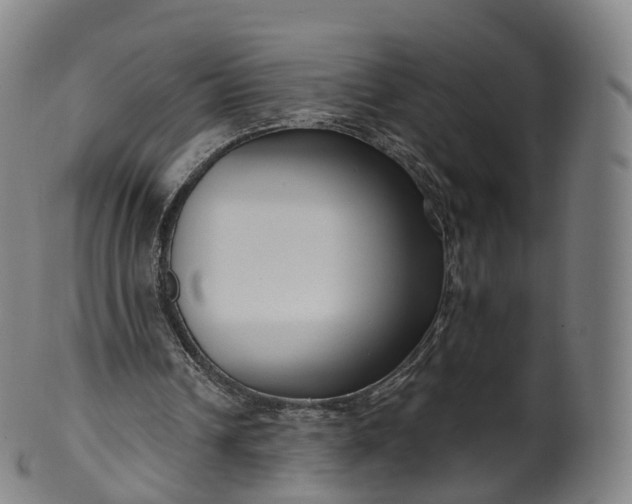 X0000099960242200806061612