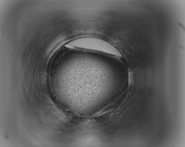 X0000099960243200806061612