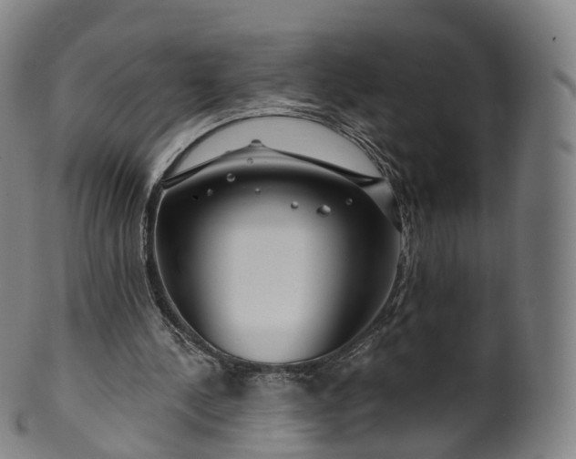 X0000099960244200806061612
