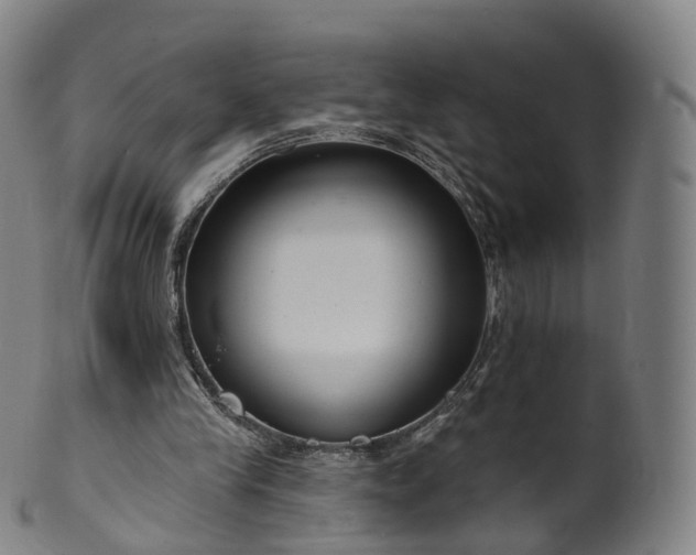 X0000099960245200806061612