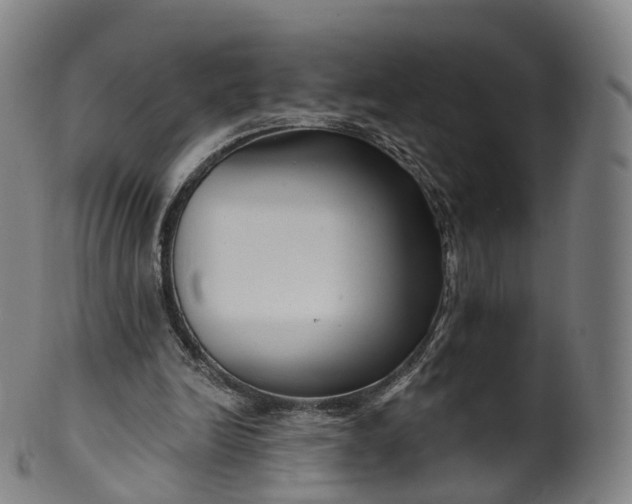 X0000099960246200806061612