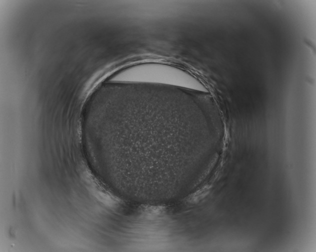 X0000099960247200806061612