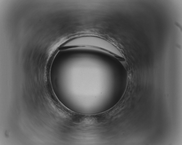 X0000099960248200806061612