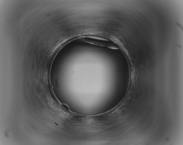 X0000099960249200806061612
