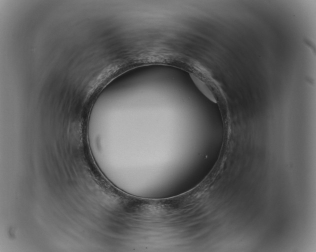 X0000099960250200806061612