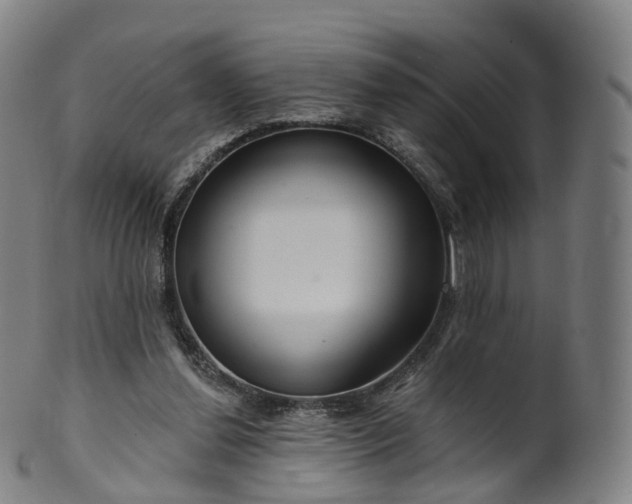 X0000099960252200806061612