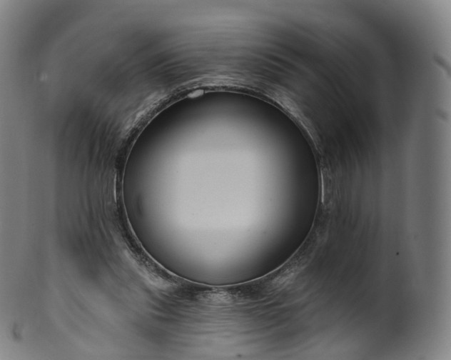 X0000099960253200806061612