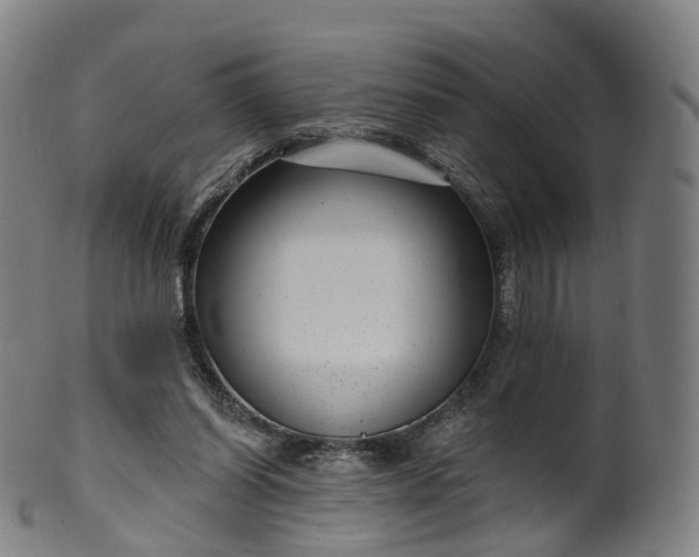 X0000099960254200806061612