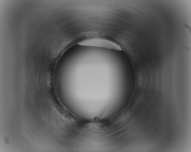X0000099960255200806061612
