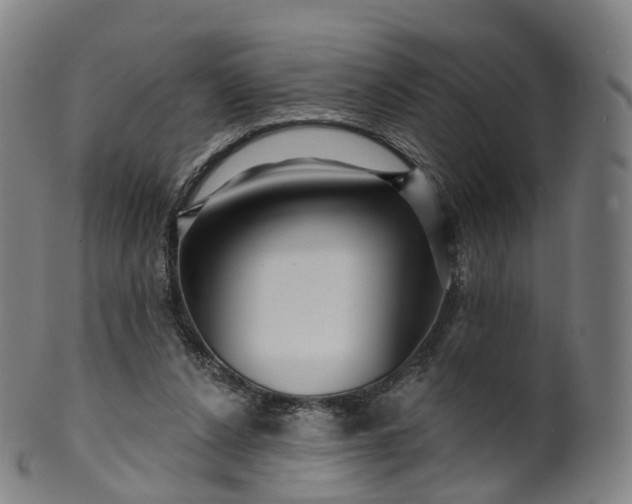 X0000099960256200806061612