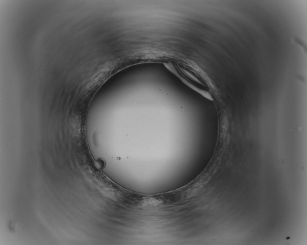 X0000099960257200806061612