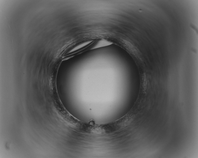 X0000099960258200806061612