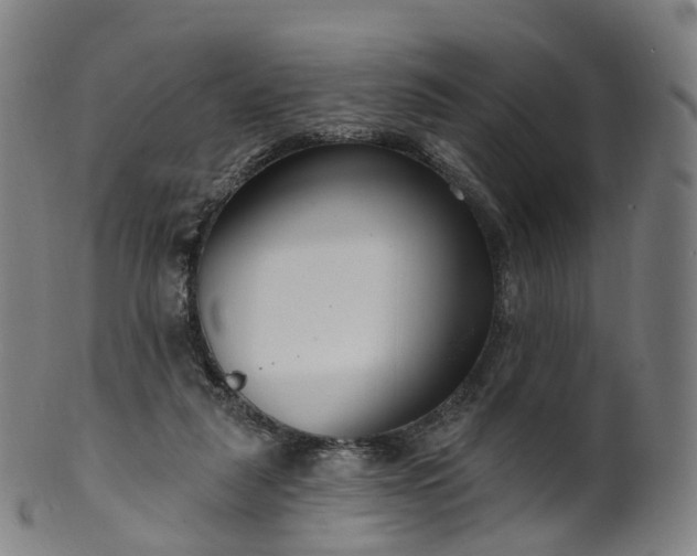 X0000099960259200806061612
