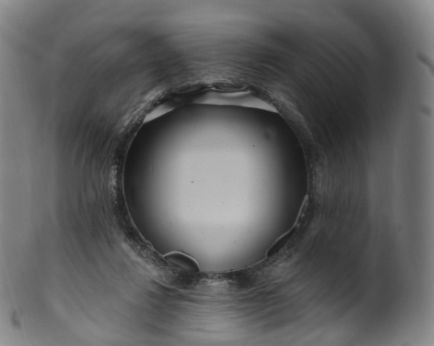 X0000099960260200806061612