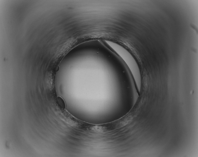 X0000099960261200806061612