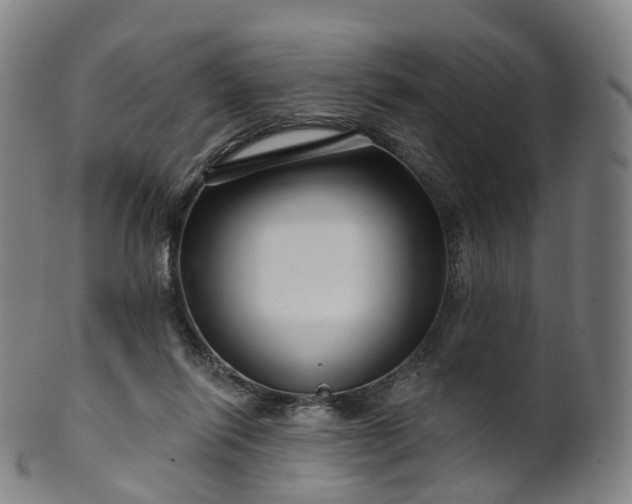 X0000099960262200806061612