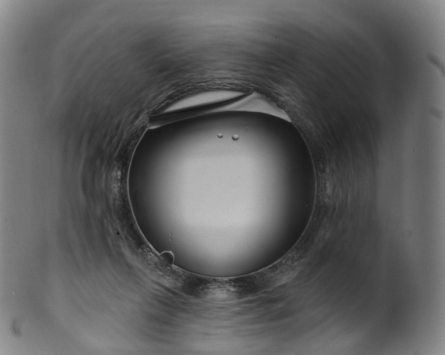 X0000099960263200806061612