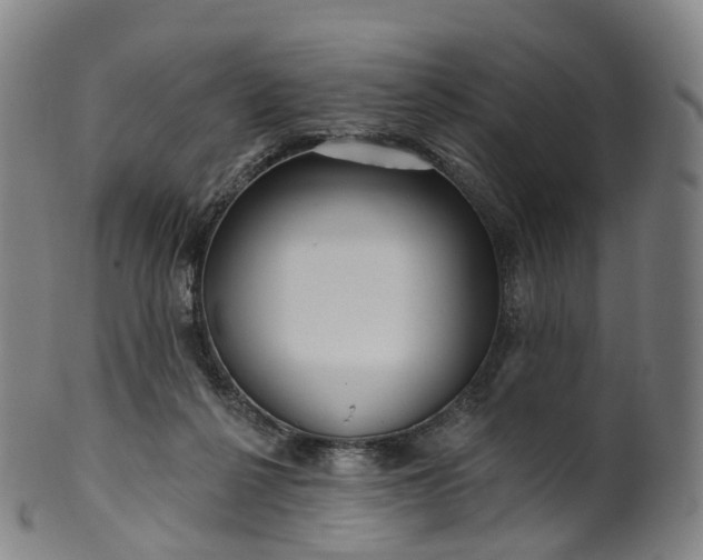 X0000099960264200806061612