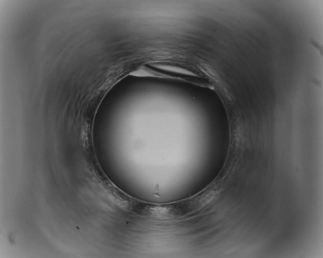 X0000099960265200806061612