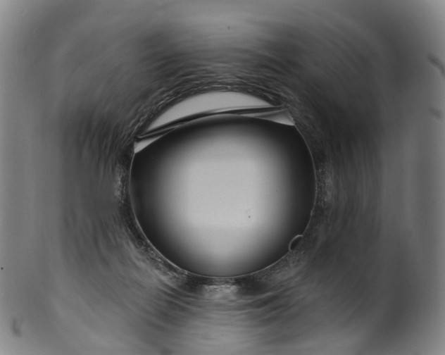 X0000099960266200806061612