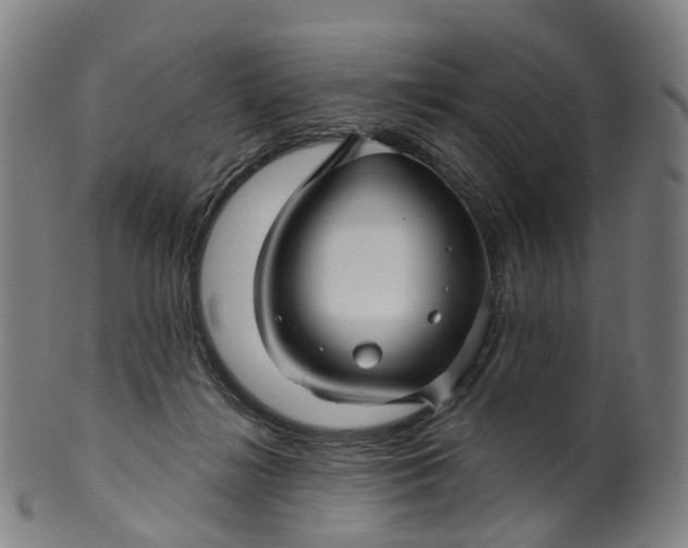 X0000099960268200806061612