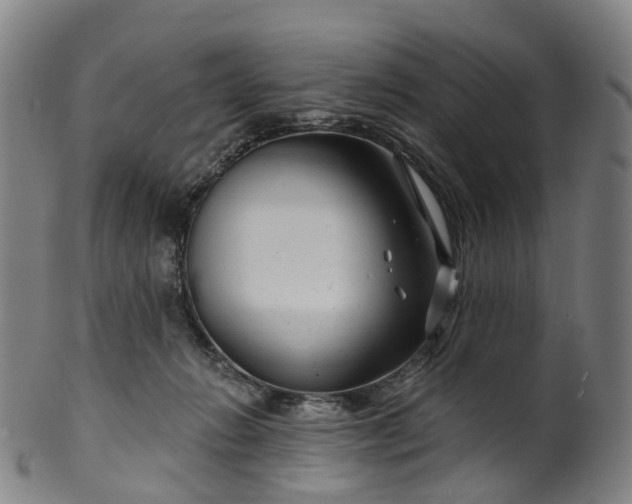 X0000099960270200806061613