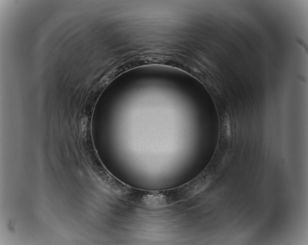 X0000099960271200806061613
