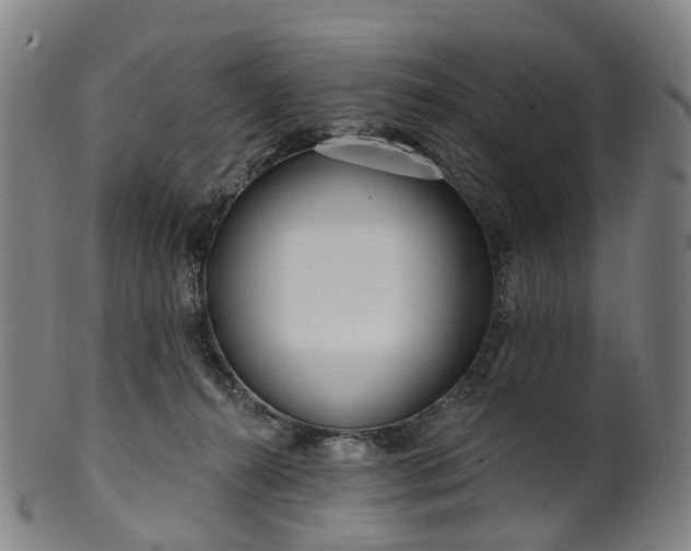 X0000099960272200806061613