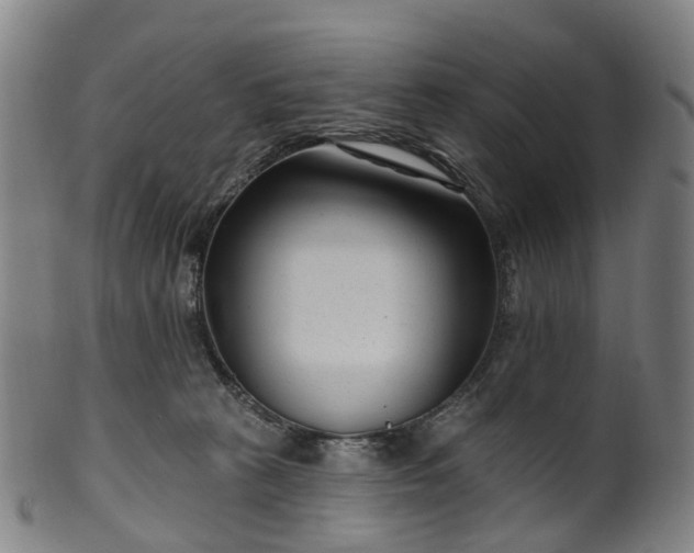 X0000099960273200806061613