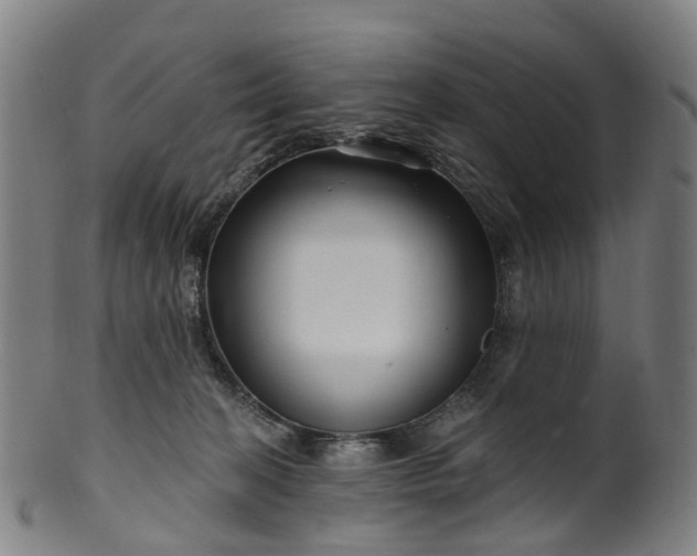 X0000099960274200806061613