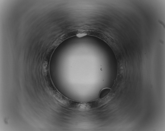 X0000099960275200806061613