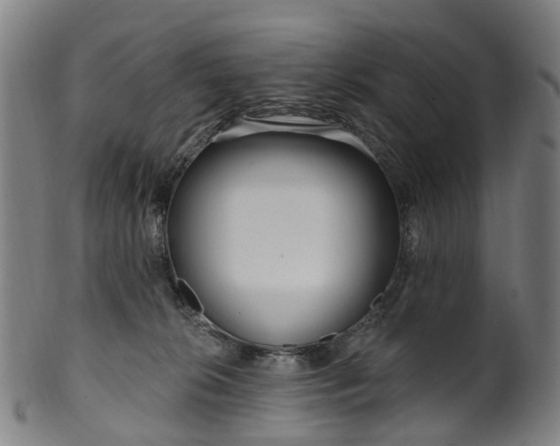 X0000099960276200806061613