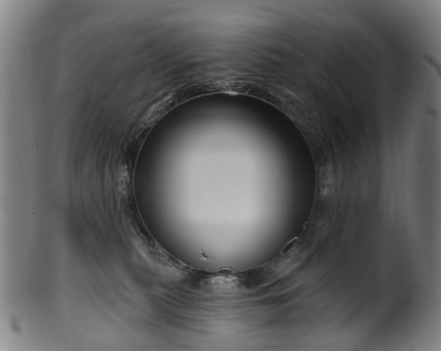 X0000099960279200806061613