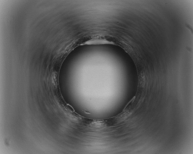X0000099960280200806061613