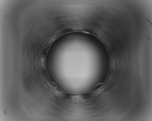 X0000099960281200806061613