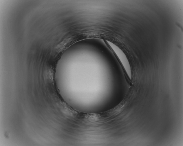 X0000099960282200806061613