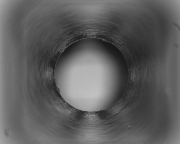 X0000099960283200806061613